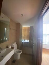 Holland Link (D10), Terrace #618843051